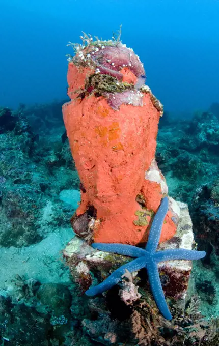 Coral and blue starfish on statue, Bali, Indonesia