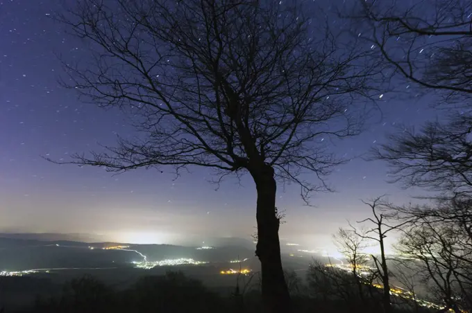 Trees and cities at night, Hessen, Germany