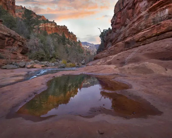 Oak Creek, Coconino National Forest, Arizona