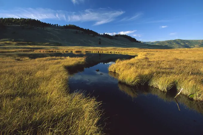 Blacktail Lake, Yellowstone National Park, Wyoming