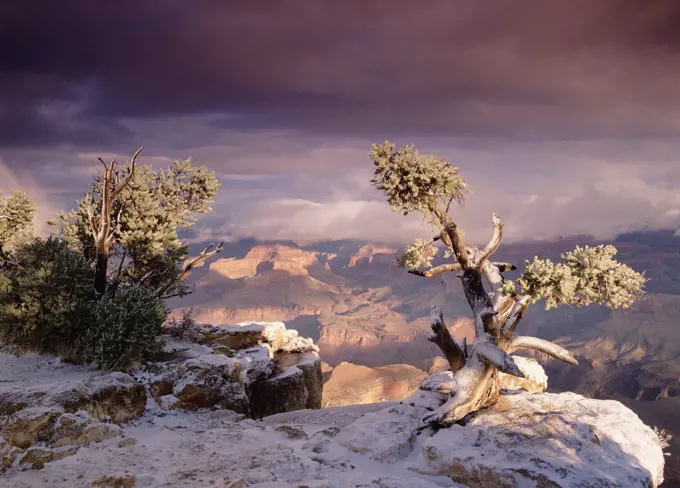 South Rim of Grand Canyon with a dusting of snow, Grand Canyon National Park, Arizona