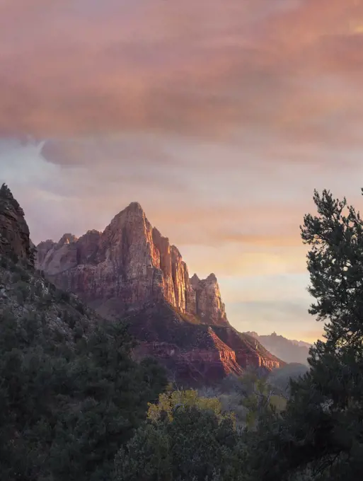 The Watchman, Zion National Park, Utah