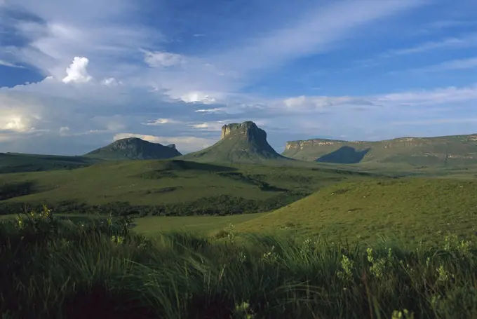 Diamantina Plateau, Cerrado Ecosystem, Brazil