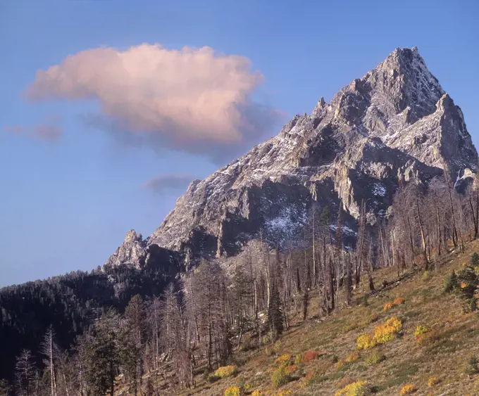 Fire damage on Grand Teton, Grand Teton National Park, Wyoming