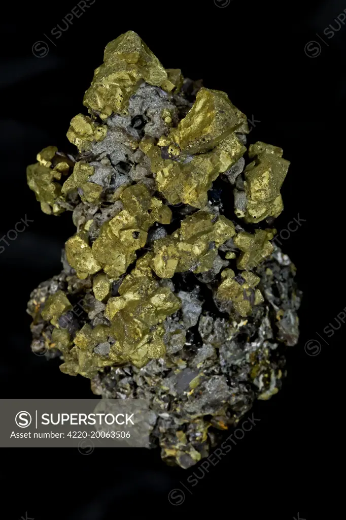 Chalcopyrite (CuFeS2) (Golden) - Commodore Mine. Colorado - USA. The major ore of copper - Copper Iron sulfide - Very important economic ore.