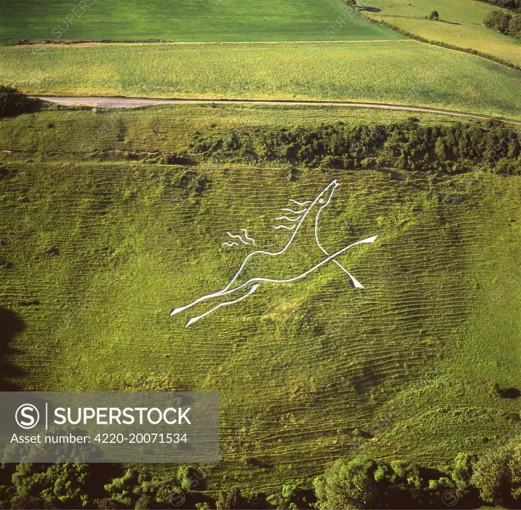 England - Aerial view, Folkestone White Horse, Kent 