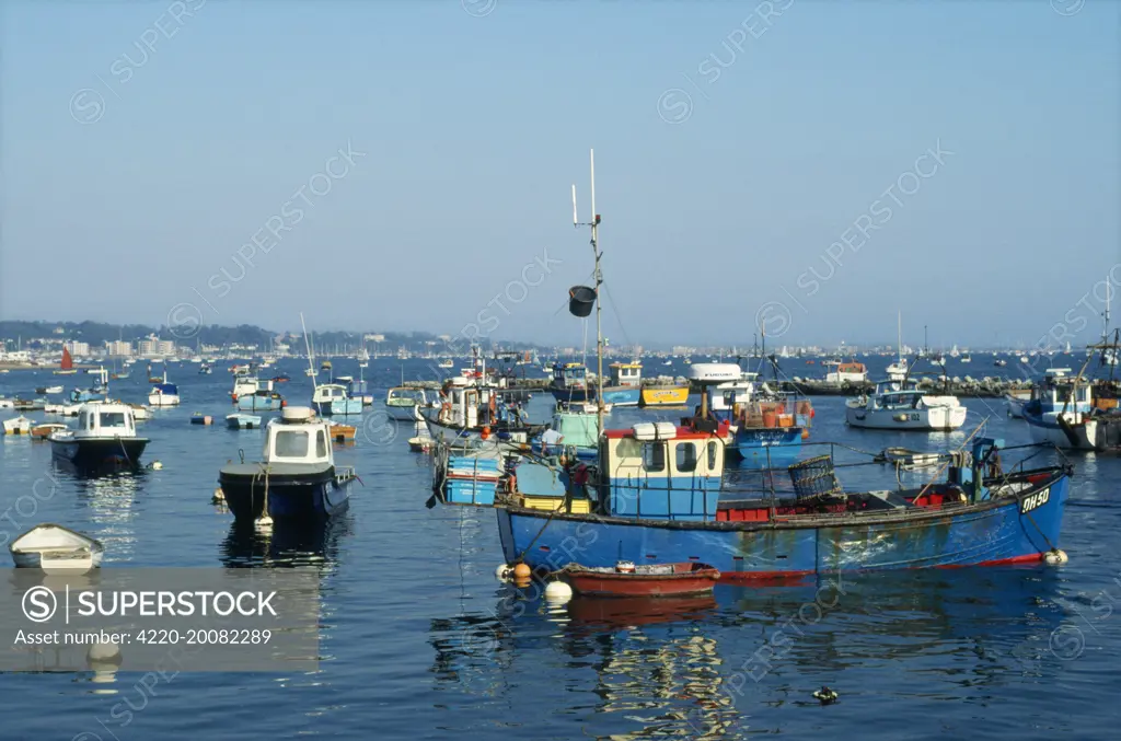 Poole Harbour, Dorset. 