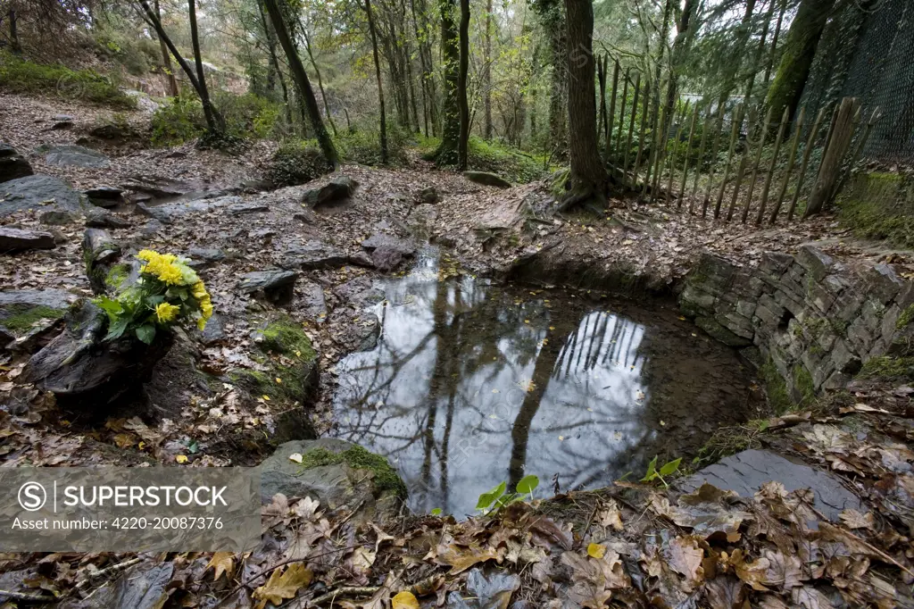 The fountain of Eternal Youth, Brittany, France 