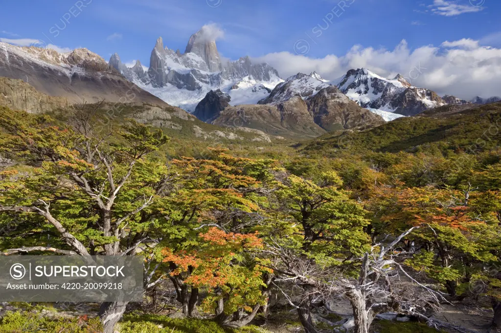 Fitz Roy Massif - mountain scenery seen from Mirador Fitz Roy in autumn showing the mountains Cerro Saint Exupery, Cerro Rafael Juarez, Cherro Fitz Roy, Cerro Val Biois, Cerro Mermol, Cerro Guillaumet, Cerro Madsen, Piedras Blancas Glacier and Cerro Electrico. Los Glaciares National Park - Patagonia - Argentina - South America .