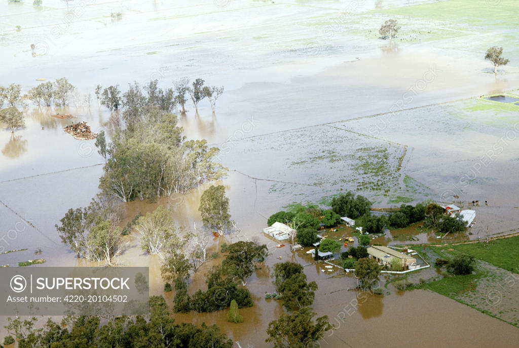 Shepparton flood, 1993 - aerial of farm during the flood . northeastern ...