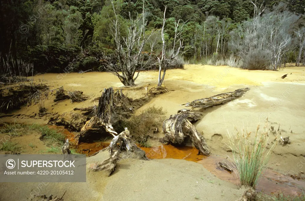 Mining pollution. temperate rainforest destroyed by pollution from Mt Lyell copper mine in Queenstown, King River, Tasmania, Australia.