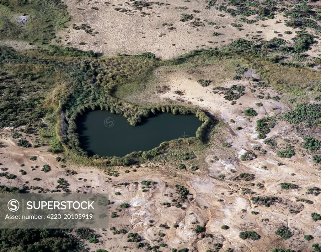 Aerial - Dalhousie Springs mound springs. Witjira National Park, Simpson Desert, northeastern South Australia.