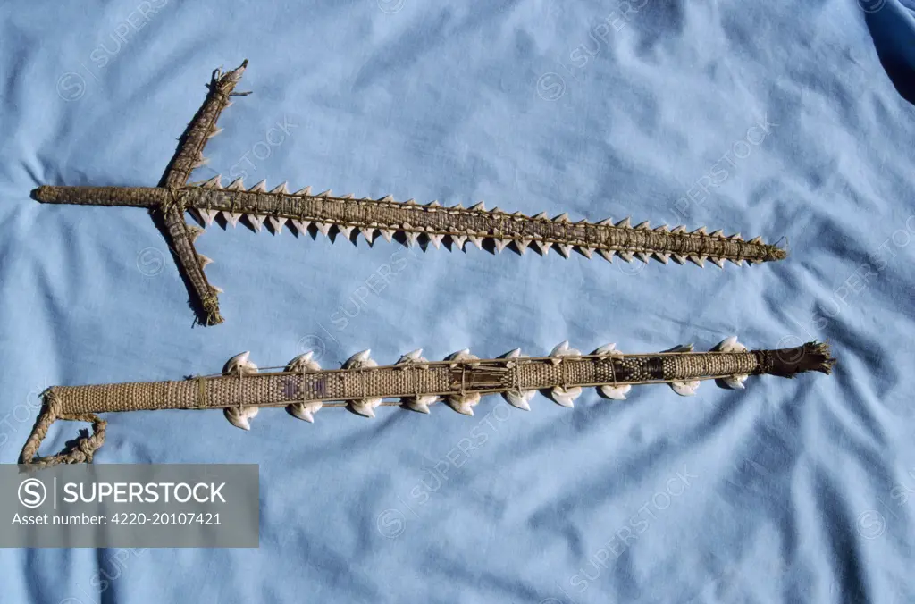 Shark - teeth sword. Wuvulu Island, Bismarck Archipelago, Papua New Guinea.