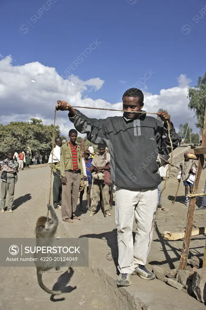 Man with vervet monkey. . Lalibela - Ethiopia - Africa.