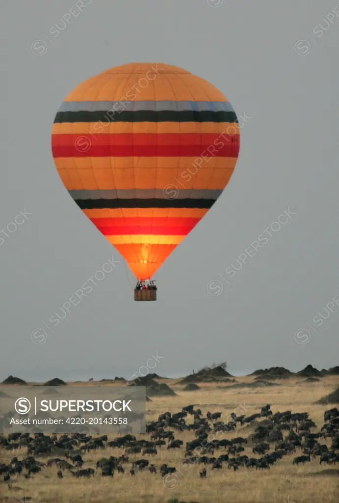 Kenya - Hot air balloon, over savannah. Maasai Mara National Park, Kenya, Africa.