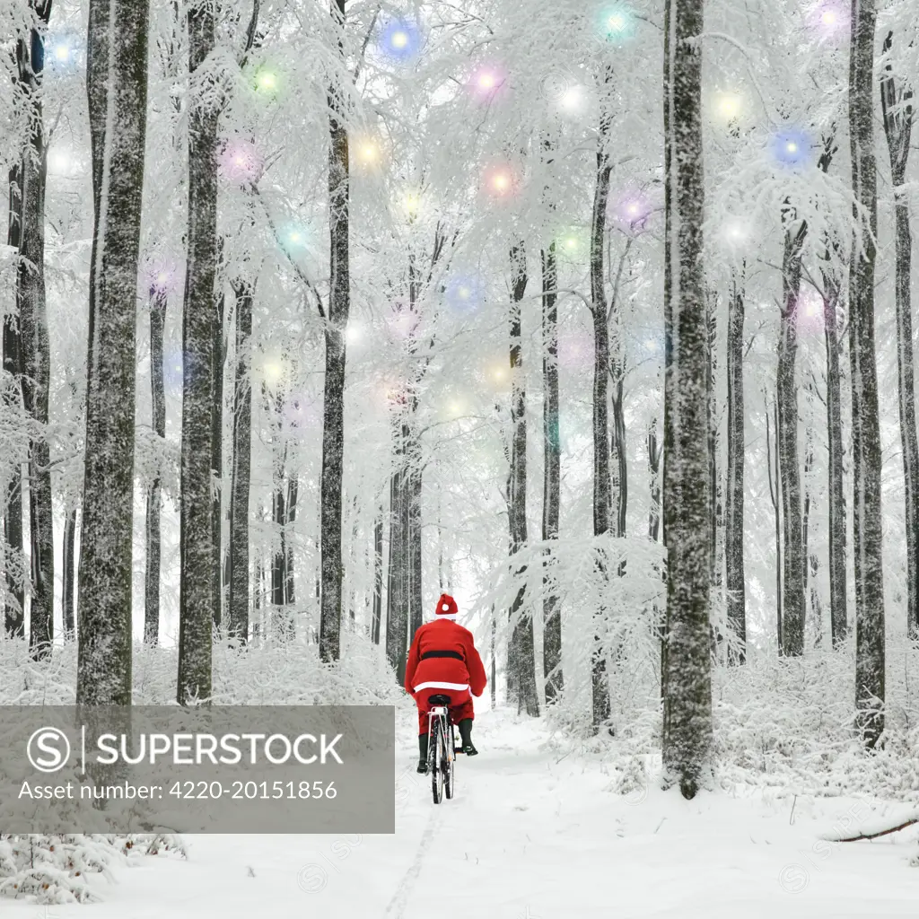 Father Christmas riding through woodland covered in winter snow with Christmas lights 