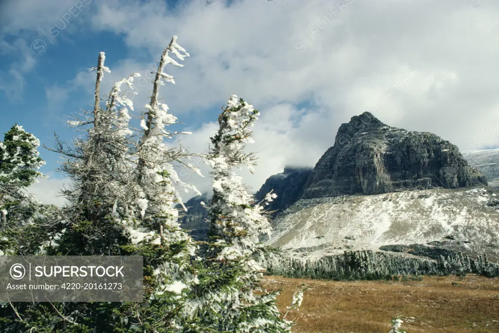 Rocky Mountains, logan pass, Glacier National Park. Montana, United States.