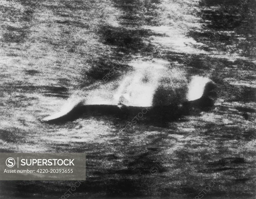 A photograph of the Loch Ness Monster taken by Hugh Gray.        12 November 1933