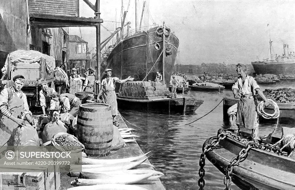 Illustration showing various cargoes coming ashore at London Docks, in the East End of London, 1908. Elephants' tusks, barrels, boxes and crates are being unloaded from dumb lighters (engineless barges) onto the quayside for transfer to lorry or warehouse. The lighters were used to ferry cargoes between ship and shore and were so called due to their obvious effect on unloading vessels.     Date: 1908