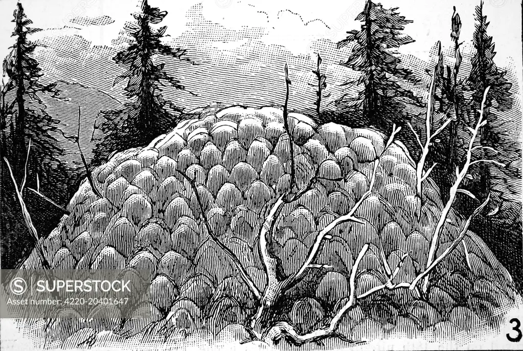 Engraving showing the mound formed of globules of rock from the Fountain, Yellowstone National Park, 1883.     Date: 1883