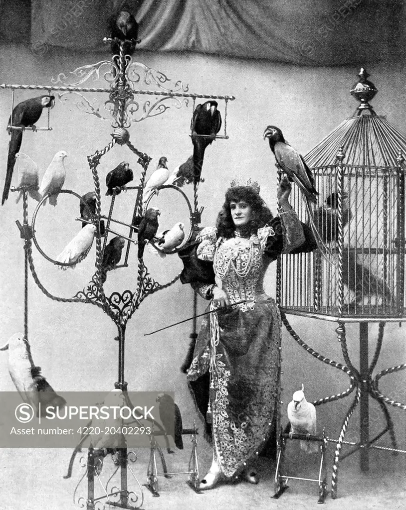 Photograph of Madame Marzella, the music hall star, with her collection of birds, at the Tivoli, 1896.     Date: 1896