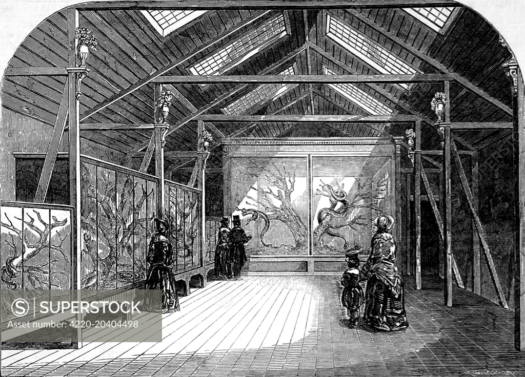 Engraving showing the interior of the Reptile House at the Zoological Society Gardens (London Zoo), Regent's Park, 1849.     Date: 2 June 1849