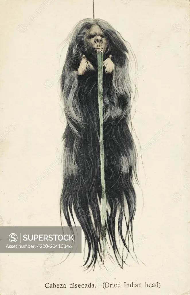 A shrunken head - a prized trophy of an indigenous tribe from Brazil     Date: circa 1910s