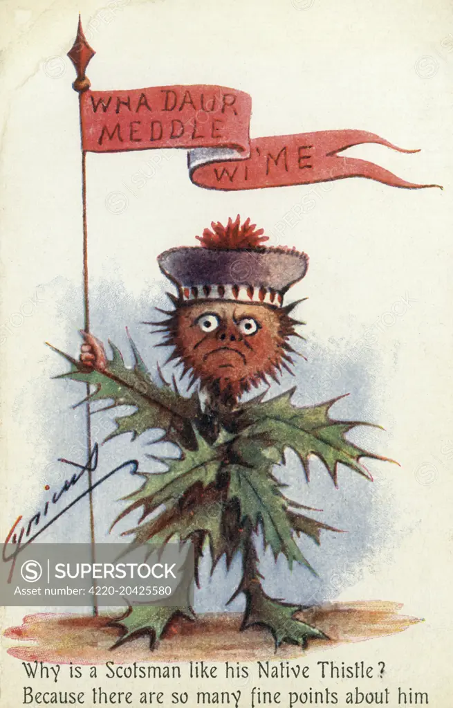 &quot;Wha Daur Meddle Wi' Me!&quot; (&quot;Don't you Dare Mess with Me!&quot;)  - 'Why is a Scotsman like his Native Thistle Because there are so many fine points about him'  circa 1910s