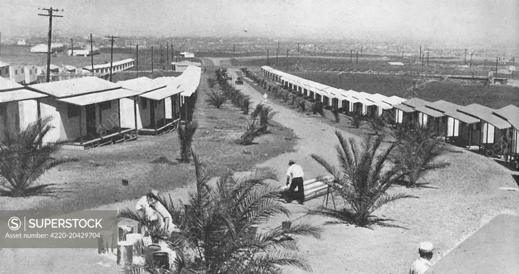 Palm-lined streets of hutments, each to house four persons for the 1932 Los Angeles Olympic Games.  The Olympic Village was located on the highlands, overlooking the Pacific Ocean.      Date: 1932