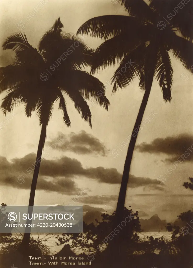 Tahiti - Coastal scene with Palm Trees / Moorea Island     Date: 1929