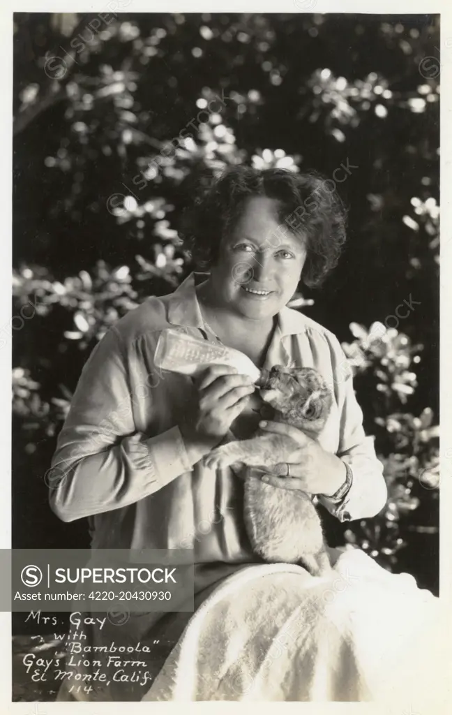 Gay's Lion Farm, El Monte, California, USA, showing Mrs Gay feeding the lion cub Bamboola with milk from a bottle.   20th century