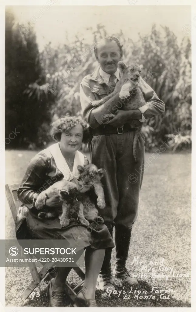 Gay's Lion Farm, El Monte, California, USA, showing Mr and Mrs Gay with lion cubs.   20th century