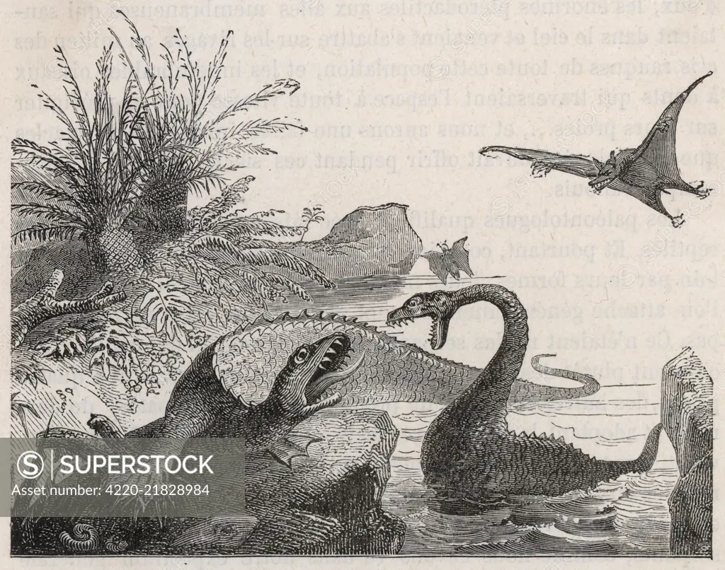 An Ichthyosaurus,  with a Plesiosaur and Pterodactyls in a prehistoric landscape. 