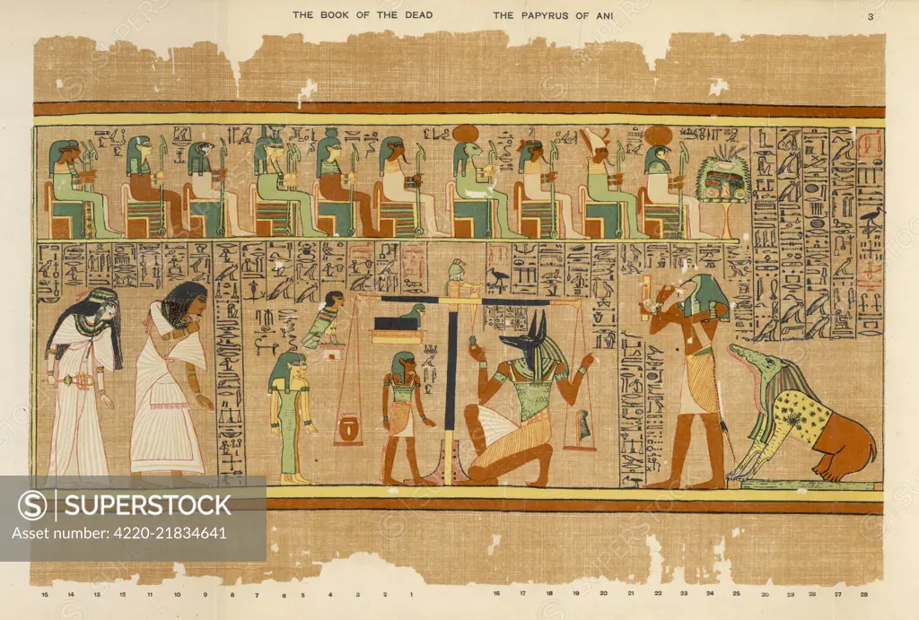 The weighing of Ani's  conscience by Anubis : Thoth  notes the result - Anemit  waits to devour him if guilty  (which he is not) 