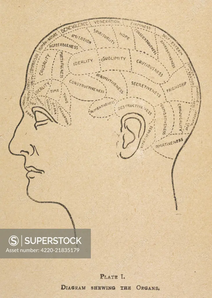 A phrenological head : diagram showing the organs         Date: Late 19th century