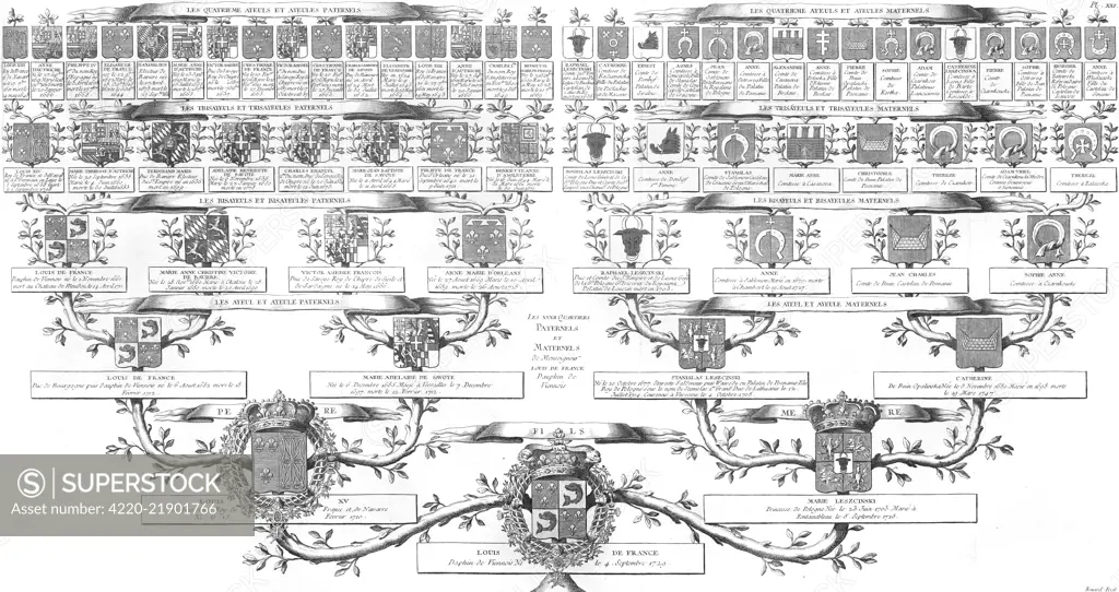 LOUIS, DAUPHIN Family tree of Louis of  France, son of Louis XV and  father of Louis XVI.He died  before his father did and  therefore, was never king.     Date: 1729 - 1765