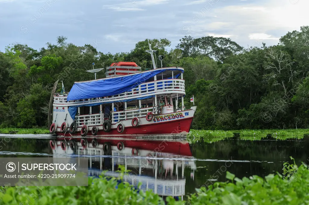 boat on Solimoes River, flooded forest, Amazon, Mamiraua Reserve, Brazil boat on Solim&amp;,x1e6;es River, flooded forest, Amazon, Mamirau Reserve, Brazil boat on Solimoes River, flooded forest, Amazon, Mamiraua Reserve, Brazil boat on Solim&amp;,x1e6;es River, flooded forest, Amazon, Mamirau Reserve, Brazil     Date: 