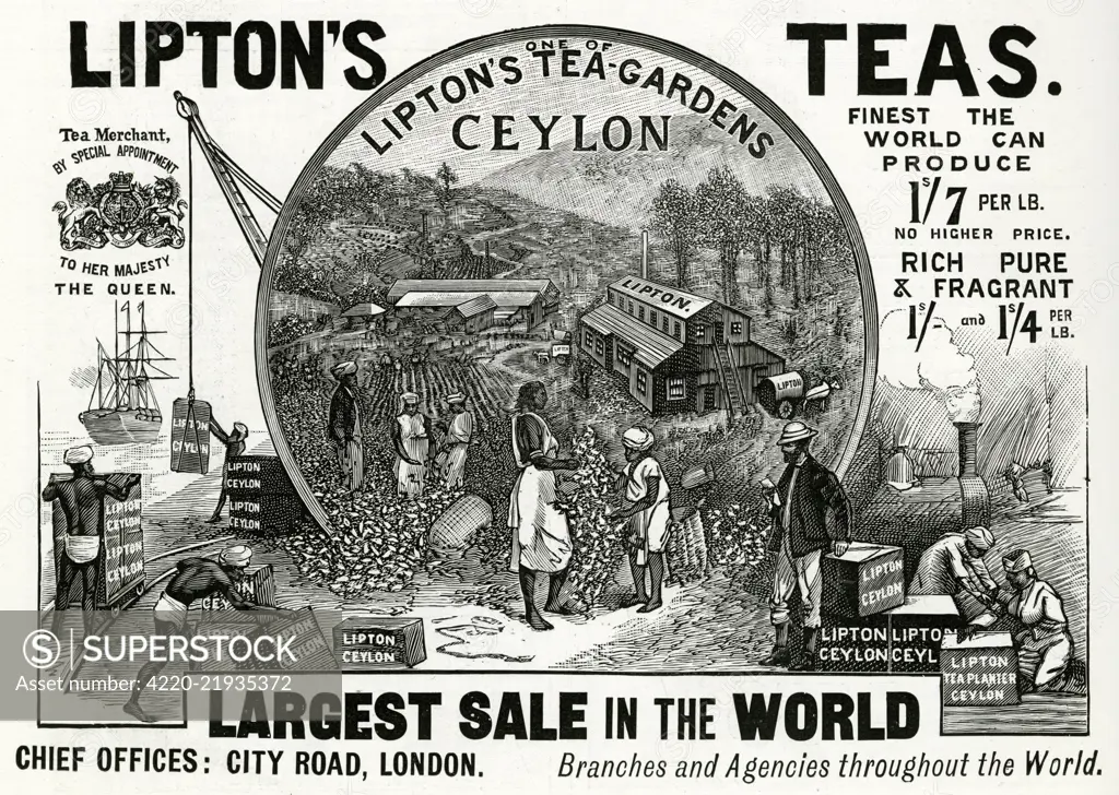 An advertisement for Lipton's Teas, with an illustration of one of the Lipton Tea-Gardens in Ceylon (Sri Lanka).     Date: 1896