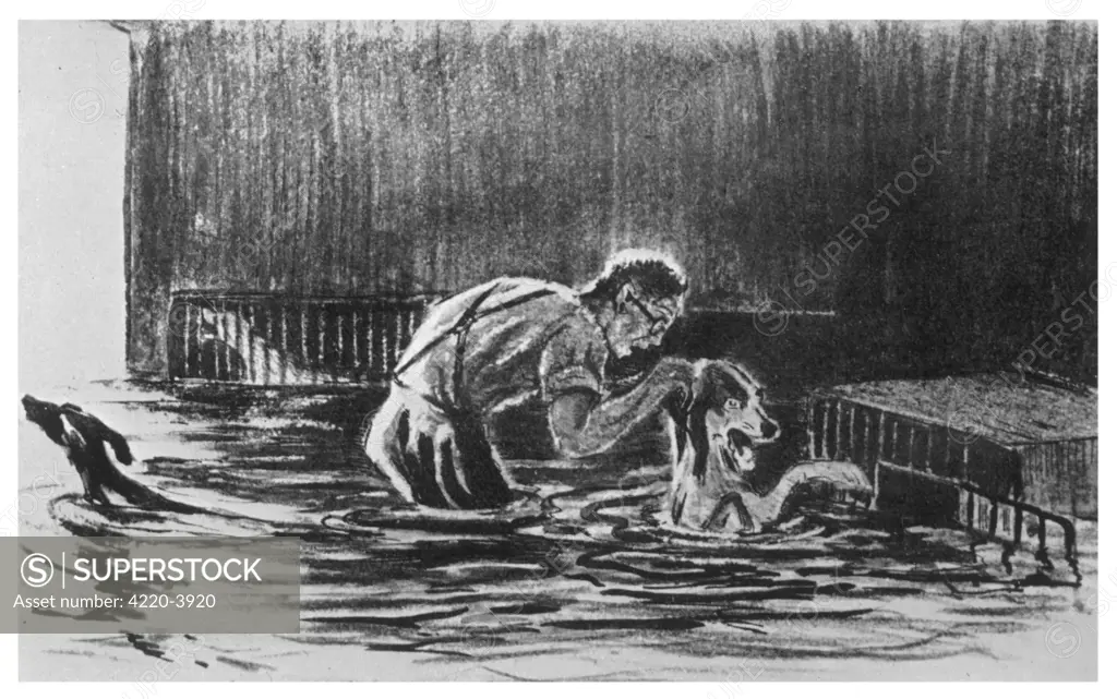 When Pavlov's dogs are trapped in a flood of the River Neva at  Leningrad (St Petersburg)