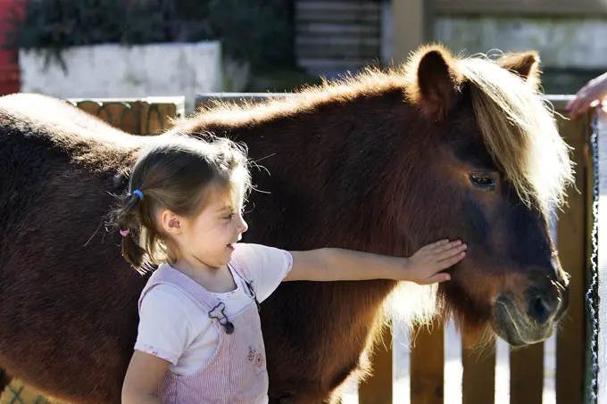 Young girl - stroking pony. France.