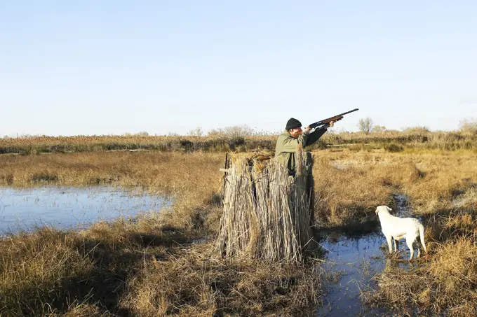 Man - hunting with dog. France.