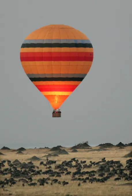 Kenya - Hot air balloon, over savannah. Maasai Mara National Park, Kenya, Africa.