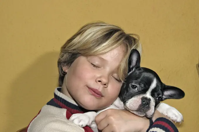 Dog - Girl cuddling French Bulldog puppy 