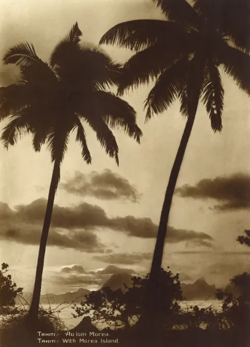 Tahiti - Coastal scene with Palm Trees / Moorea Island     Date: 1929