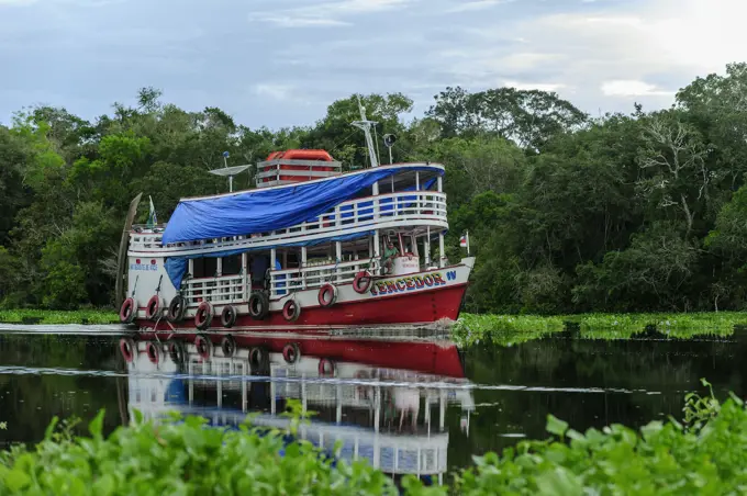 boat on Solimoes River, flooded forest, Amazon, Mamiraua Reserve, Brazil boat on Solim&amp;,x1e6;es River, flooded forest, Amazon, Mamirau Reserve, Brazil boat on Solimoes River, flooded forest, Amazon, Mamiraua Reserve, Brazil boat on Solim&amp;,x1e6;es River, flooded forest, Amazon, Mamirau Reserve, Brazil     Date: 