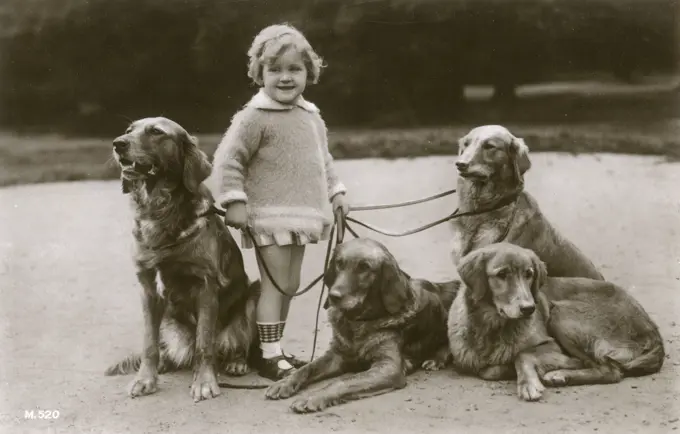 Little girl and four large dogs in a garden.     Date: circa 1930s