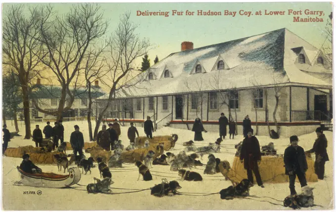 Delivering fur for theHudson's Bay Company at LowerFort Gary, Manitoba, CanadaDate: early 20th century