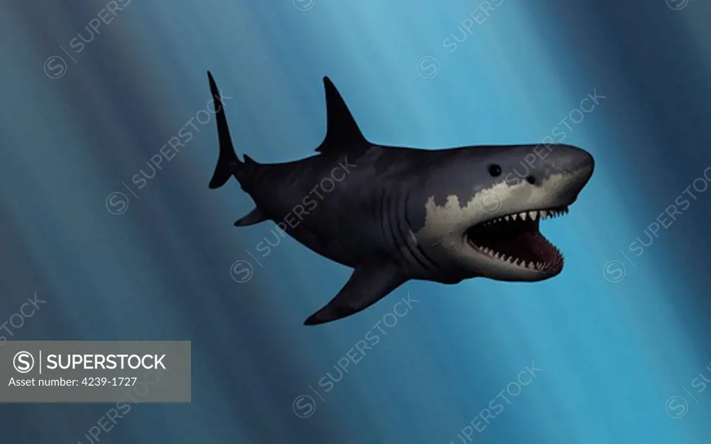 A giant 52 foot Megalodon shark that lived during the Cenozoic Era. Also known as the original Jaws. It is thought to be long extinct, yet there have been modern day claims of sightings of the beast, whose name literally means Big Tooth.