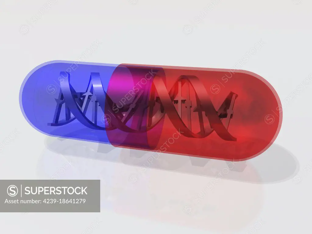 DNA Capsule