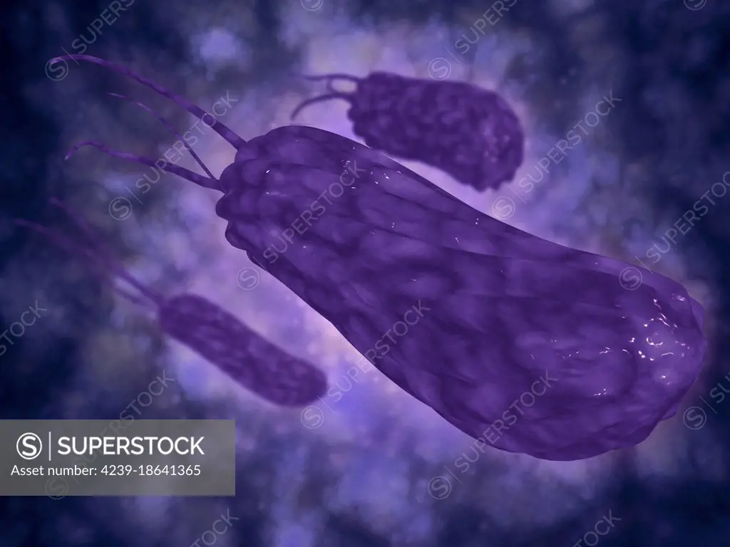 Conceptual image of helicobacter. Helicobacter is a genus of gram-negative bacteria possessing a characteristic helix shape. 